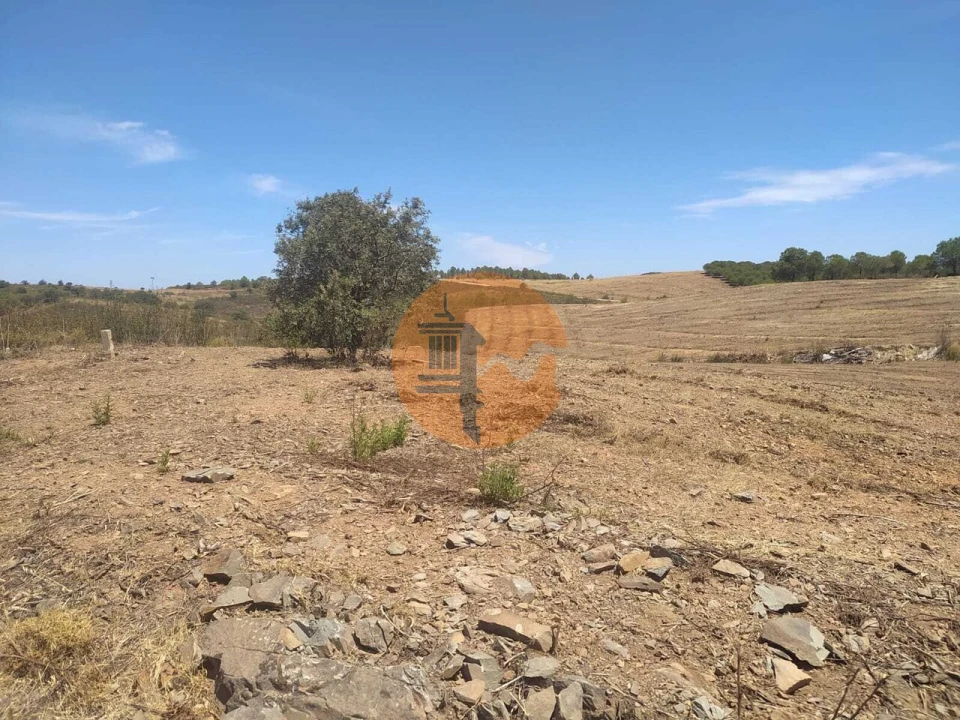 Terreno para Venda em Azinhal Foto 3