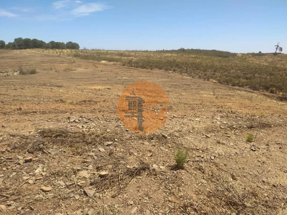 Terreno para Venda em Azinhal Foto 4
