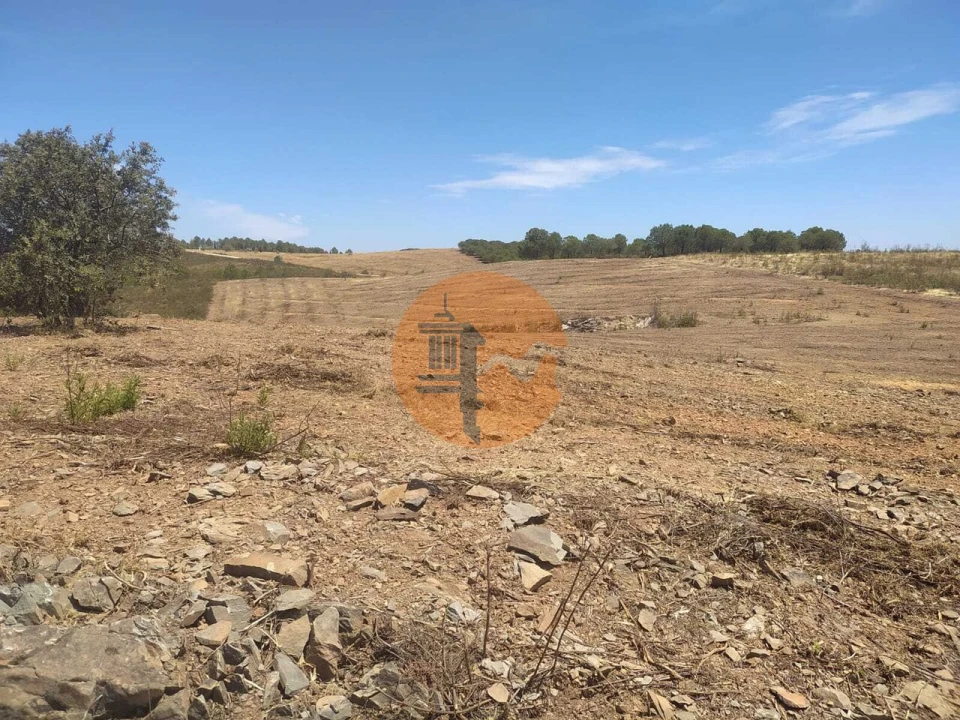 Terreno para Venda em Azinhal Foto 5