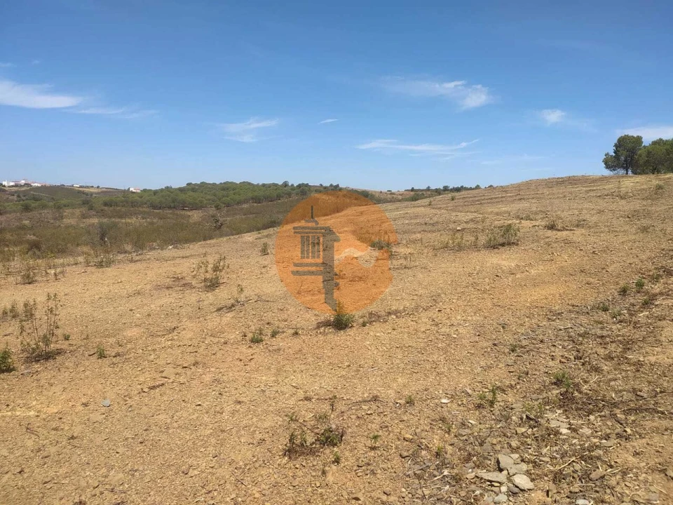 Terreno para Venda em Azinhal Foto 8