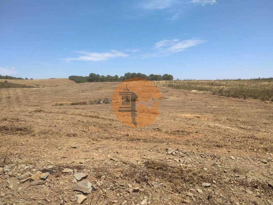 Terreno para Venda em Azinhal Foto 10