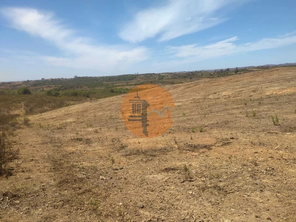 Terreno para Venda em Azinhal Foto 13