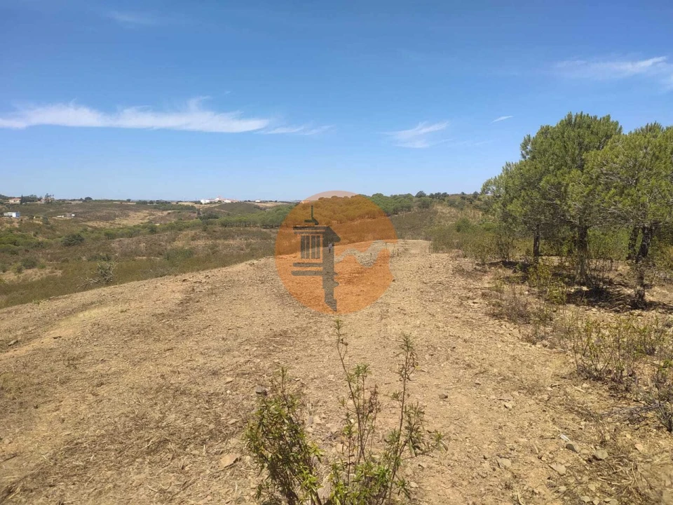 Terreno para Venda em Azinhal Foto 16
