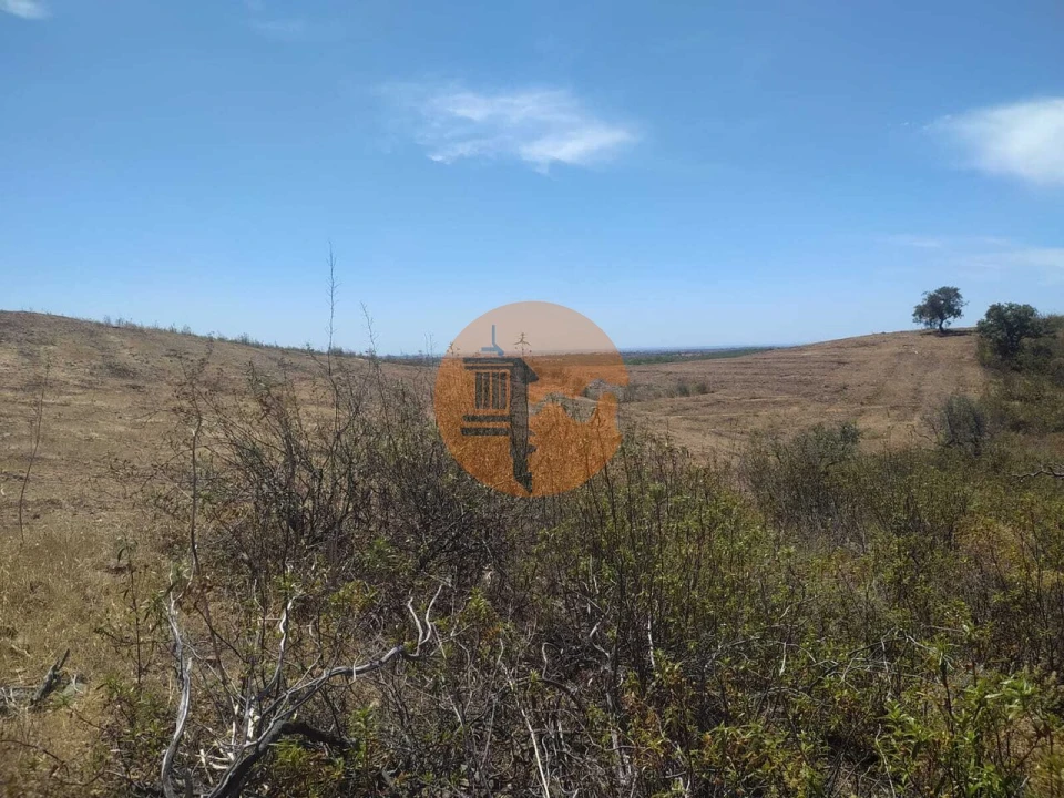 Terreno para Venda em Azinhal Foto 25