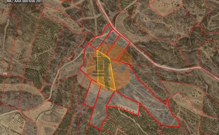 Terreno para Venda em Azinhal