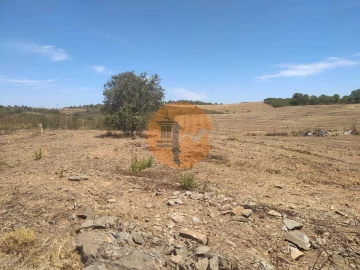 Terreno para Venda em Azinhal