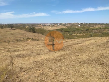 Terreno para Venda em Azinhal