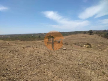 Terreno para Venda em Azinhal