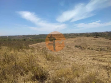 Terreno para Venda em Azinhal