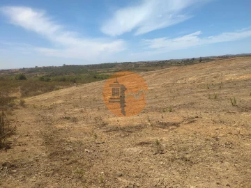 Terreno para Venda em Azinhal