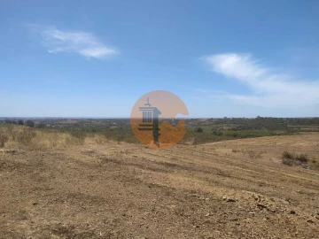 Terreno para Venda em Azinhal