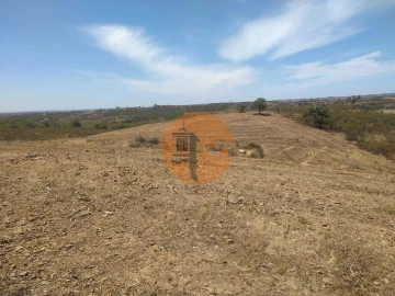 Terreno para Venda em Azinhal