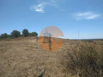 Terreno para Venda em Azinhal