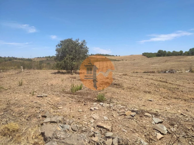 Terreno para Venda em Azinhal Foto 3