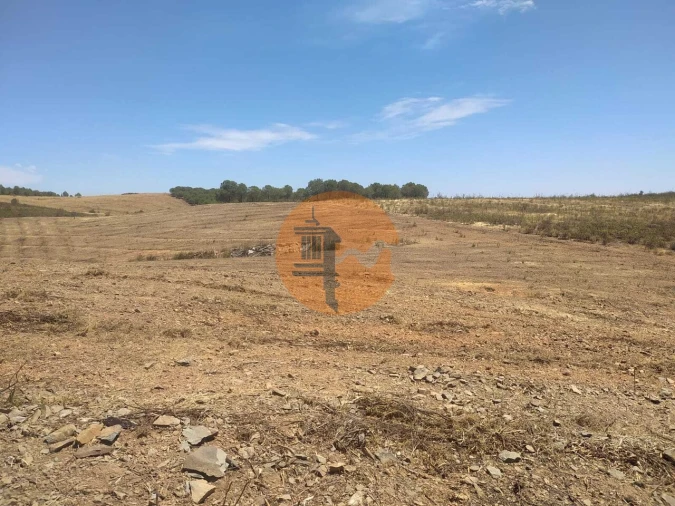 Terreno para Venda em Azinhal Foto 10