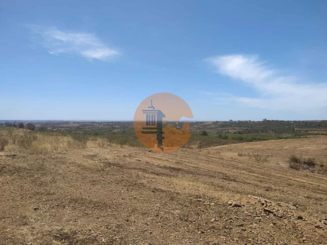 Terreno para Venda em Azinhal Foto 19