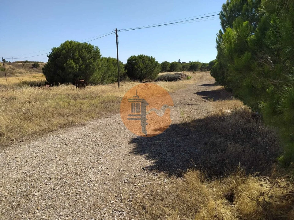 Terreno para Venda em Odeleite Foto 1