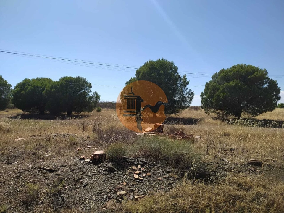 Terreno para Venda em Odeleite Foto 13