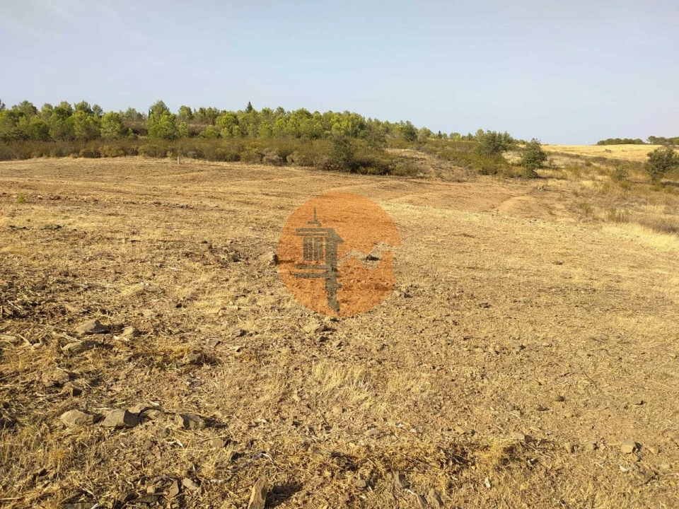 Terreno para Venda em Odeleite Foto 10