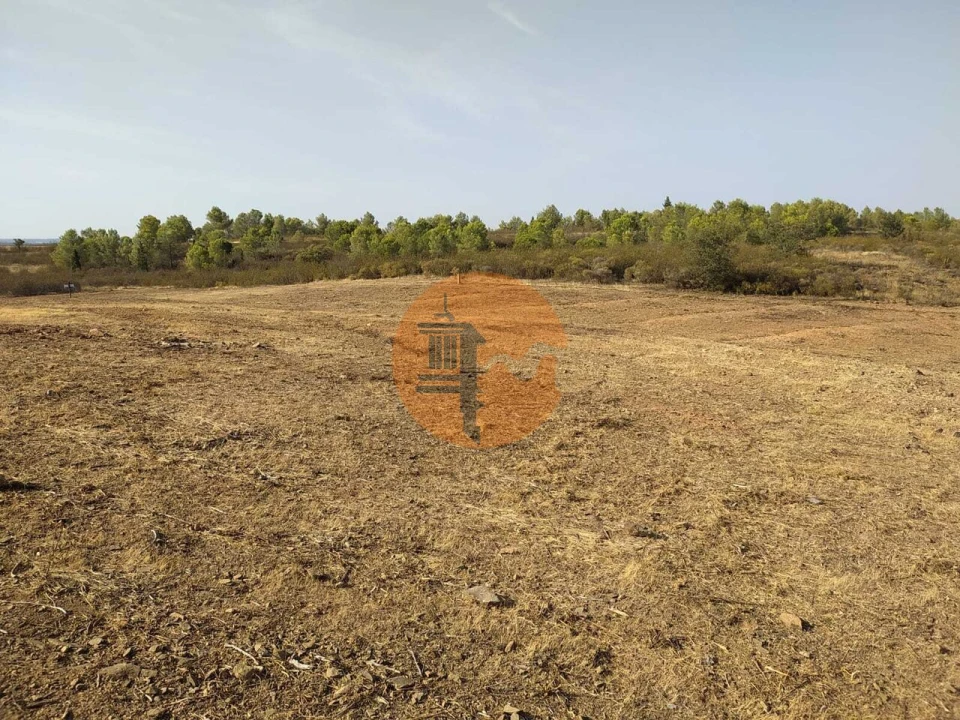 Terreno para Venda em Odeleite Foto 11