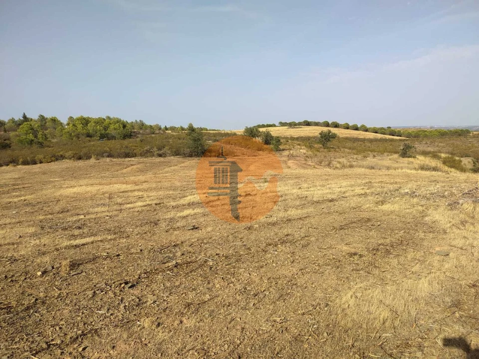 Terreno para Venda em Odeleite Foto 13