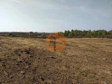 Terreno para Venda em Odeleite