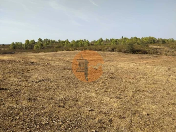 Terreno para Venda em Odeleite