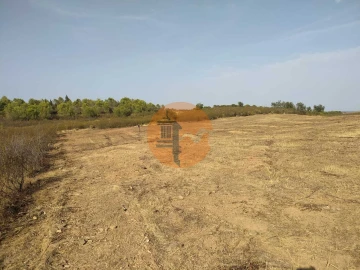 Terreno para Venda em Odeleite
