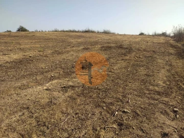 Terreno para Venda em Odeleite