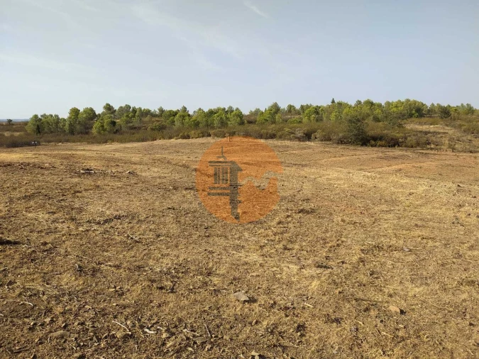 Terreno para Venda em Odeleite Foto 11