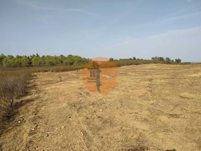 Terreno para Venda em Odeleite Foto 18