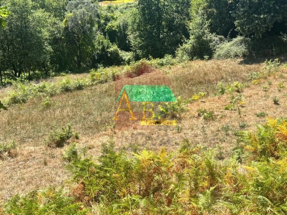 Terreno para Venda em Ribeira do Neiva Foto 10