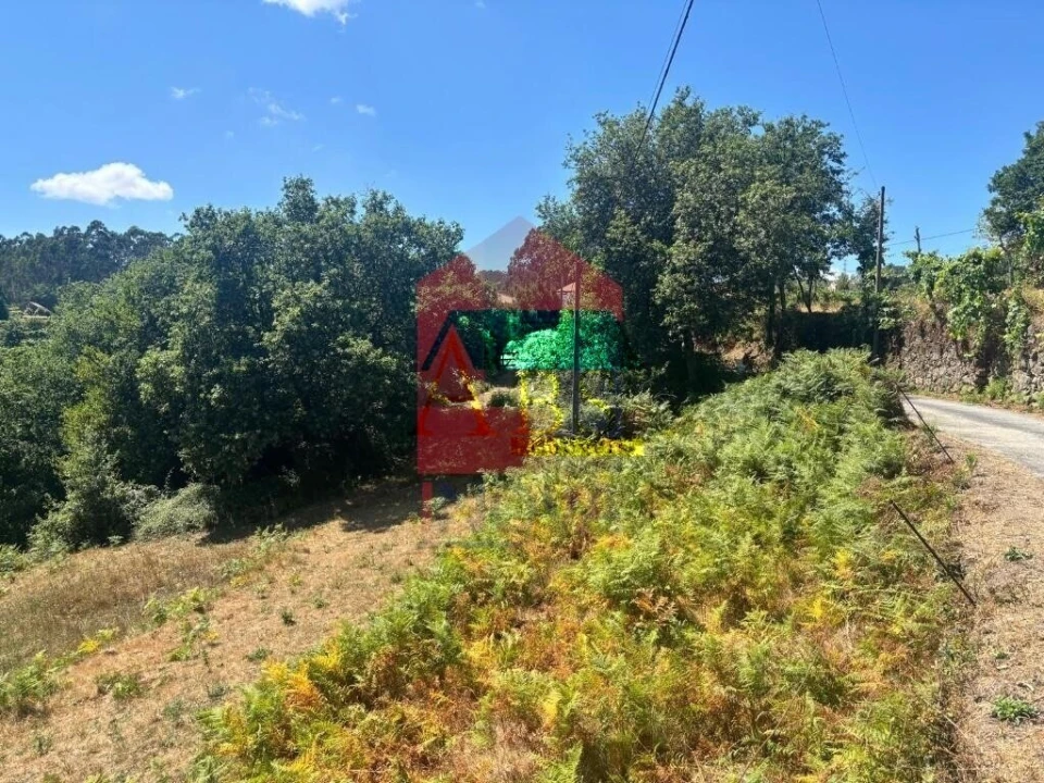 Terreno para Venda em Ribeira do Neiva Foto 5