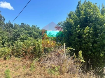 Terreno para Venda em Ribeira do Neiva