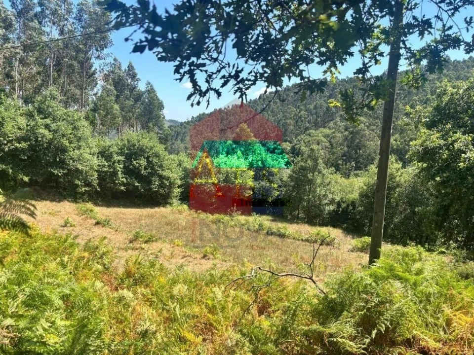 Terreno para Venda em Ribeira do Neiva Foto 12