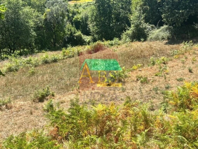 Terreno para Venda em Ribeira do Neiva Foto 10