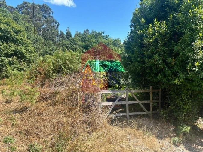 Terreno para Venda em Ribeira do Neiva Foto 15