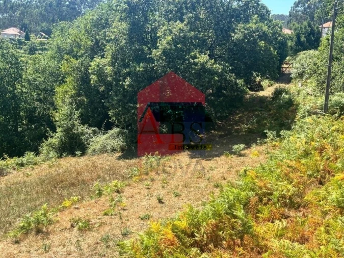 Terreno para Venda em Ribeira do Neiva Foto 11
