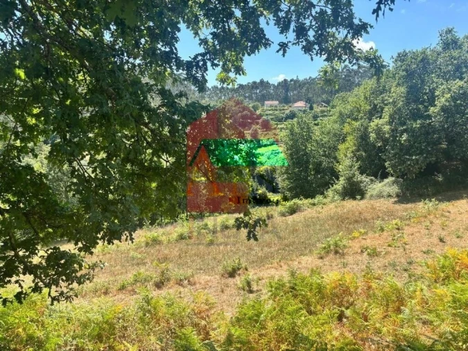Terreno para Venda em Ribeira do Neiva Foto 4