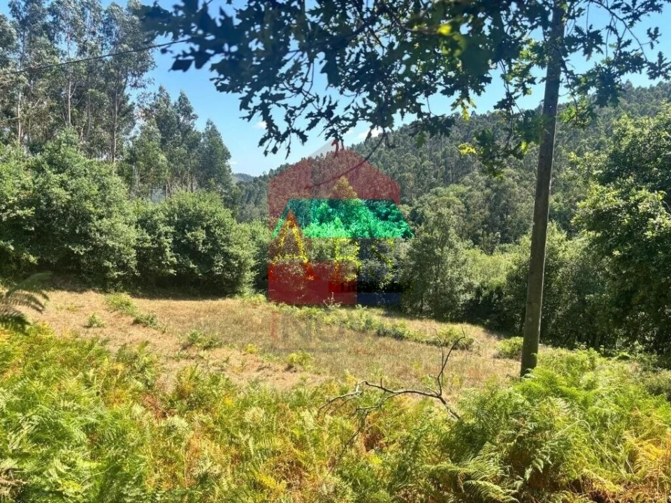 Terreno para Venda em Ribeira do Neiva Foto 8