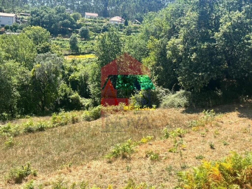 Terreno para Venda em Ribeira do Neiva Foto 6
