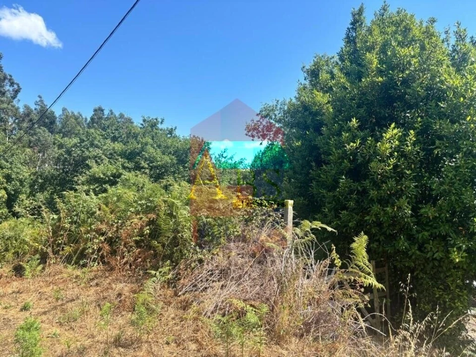 Terreno para Venda em Ribeira do Neiva Foto 13