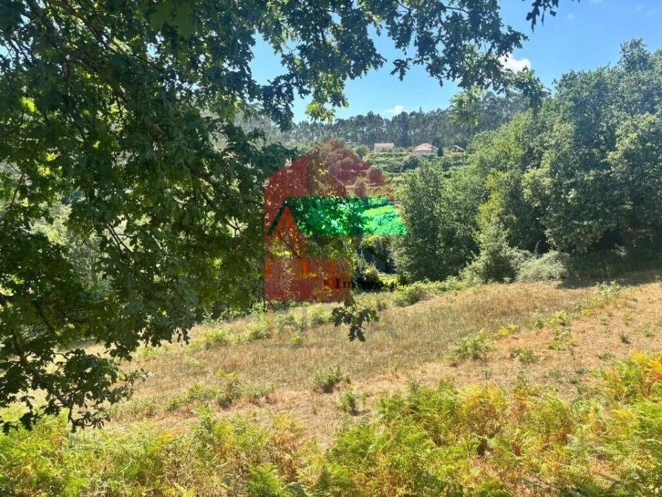 Terreno para Venda em Ribeira do Neiva Foto 4