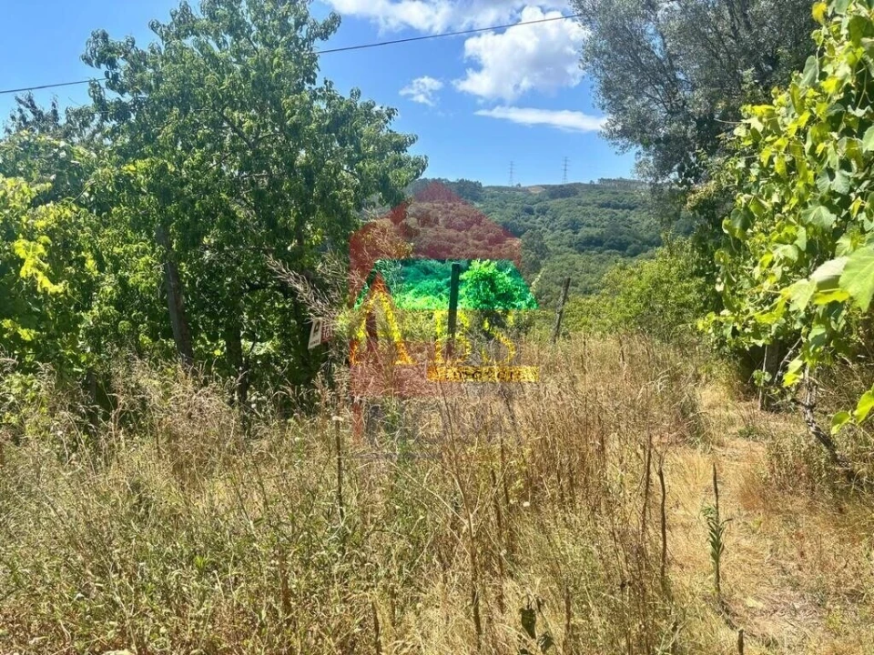 Terreno para Venda em Ribeira do Neiva Foto 1