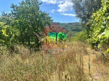 Terreno para Venda em Ribeira do Neiva