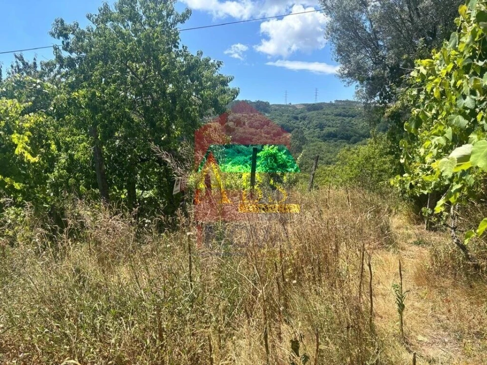 Terreno para Venda em Ribeira do Neiva Foto 7