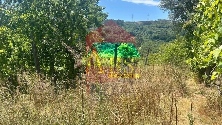 Terreno para Venda em Ribeira do Neiva