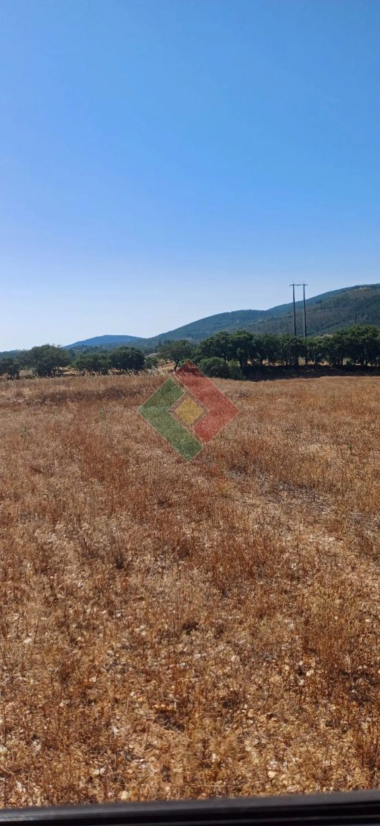 Terreno Agricola ou Rústico para Venda em São Salvador da Aramenha Foto 6