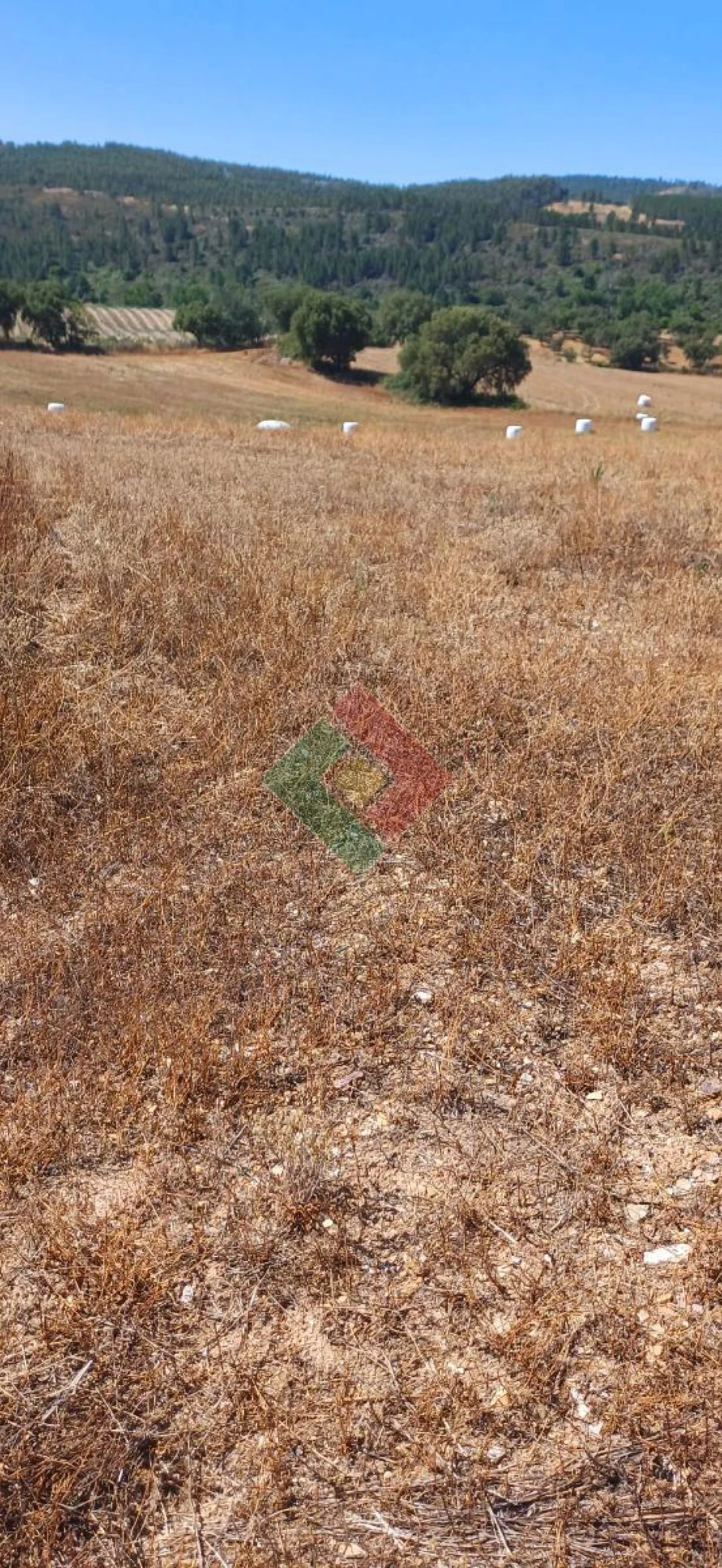 Terreno Agricola ou Rústico para Venda em São Salvador da Aramenha Foto 4