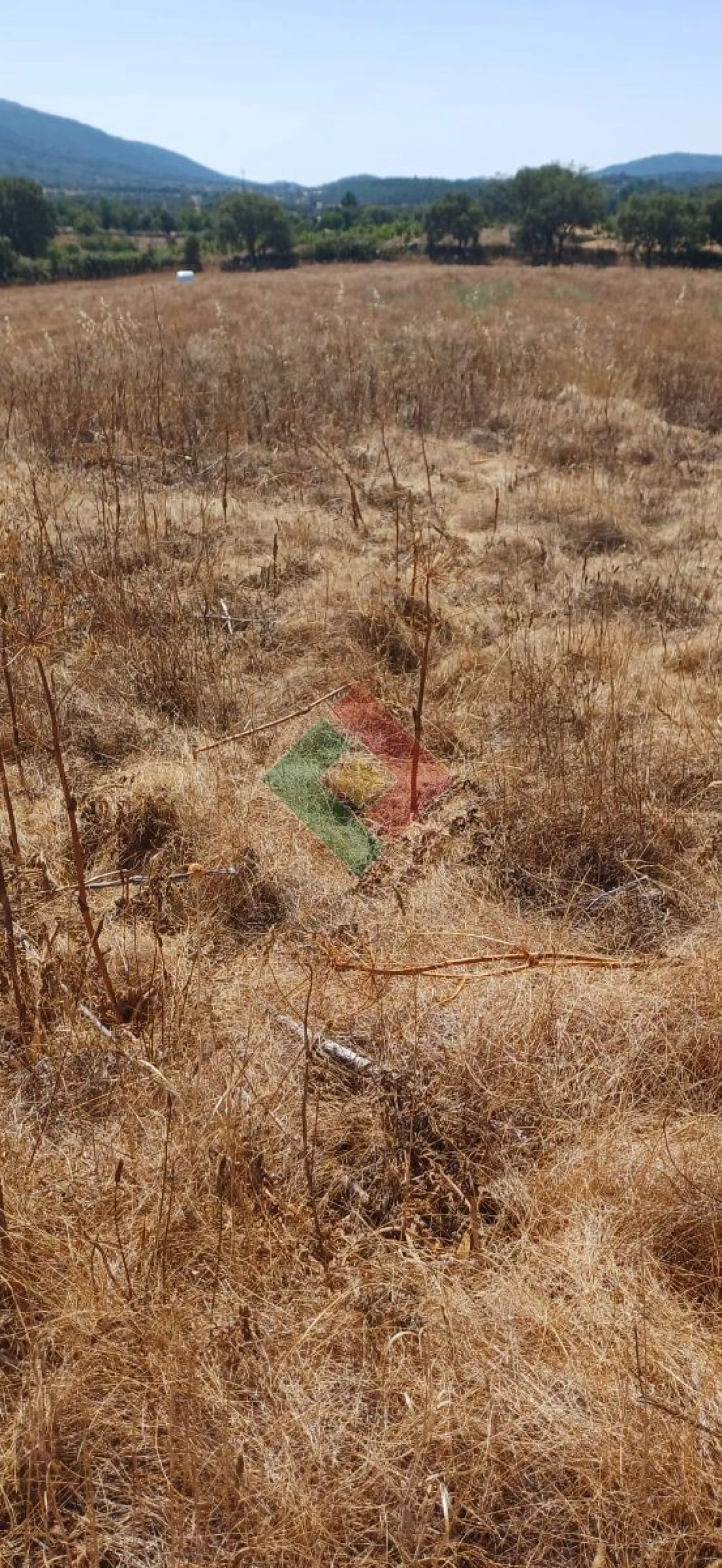 Terreno Agricola ou Rústico para Venda em São Salvador da Aramenha Foto 8
